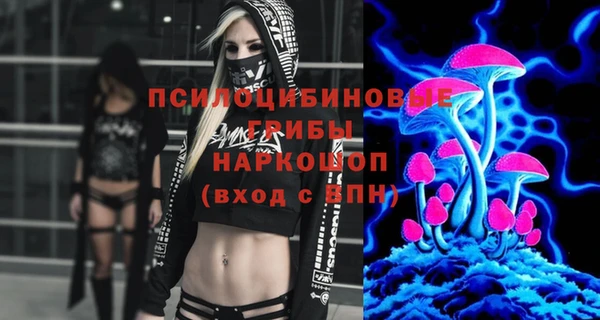 ешки Алексеевка