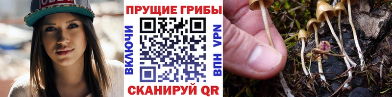 Галлюциногенные грибы ЛСД  Купить закладки  Нахабино 